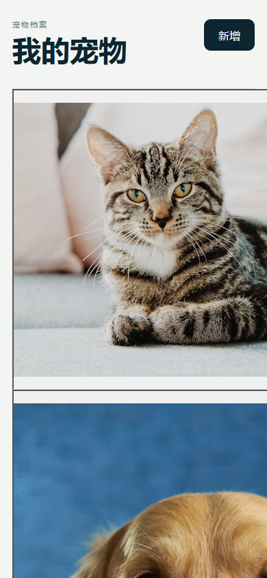 07-mobile-pet-profiles.png