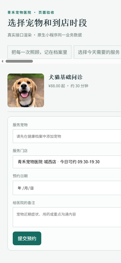预约表单