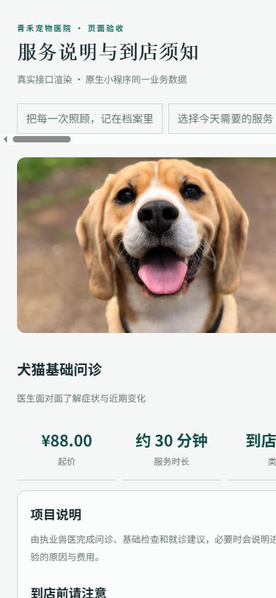 服务详情